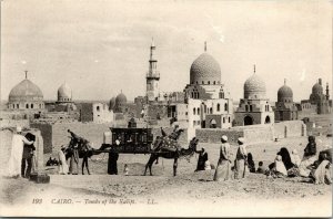 Vtg 1910s Camel Wedding Caravan Tombs of the Kalifs Cairo Egypt Postcard