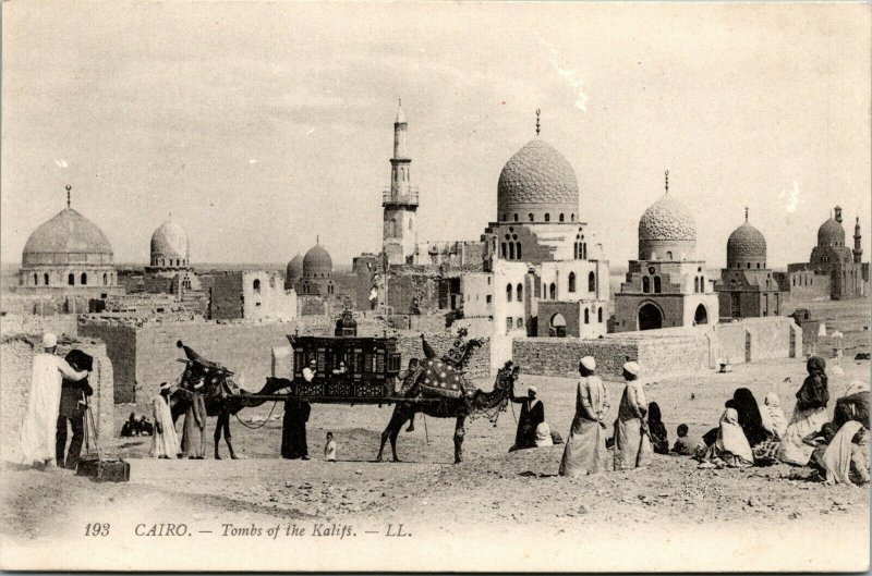 Vtg 1910s Camel Wedding Caravan Tombs of the Kalifs Cairo Egypt Postcard