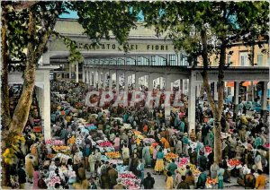 Postcard Modern Riviera Ventimiglia Walking flowers