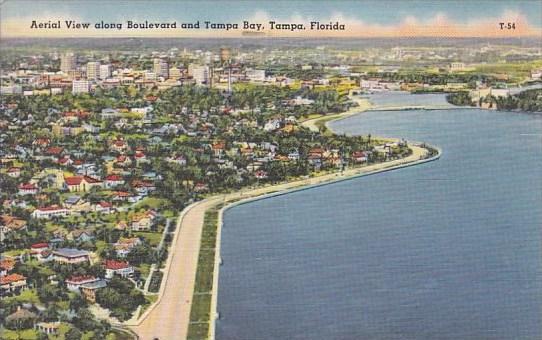 Florida Tampa Aerial View Along Boulevard And Tampl Bay 1958