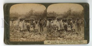 477731 1904 West Indies Jamaica bringing bananas market Underwood STEREO PHOTO