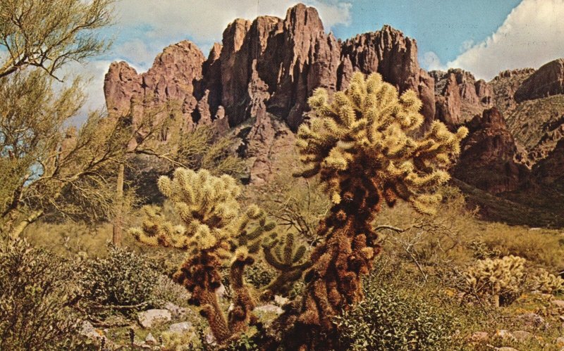 Vintage Postcard 1969 Cholla Cactus Jump Famous Superstition Mountain Arizona AZ
