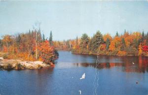 BR6468 Parc de la Verendrye Rapid Lake  quebec canada