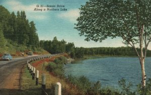 Vintage Postcard Scenic Drive Along The Northern Lake Kingston News Pub.