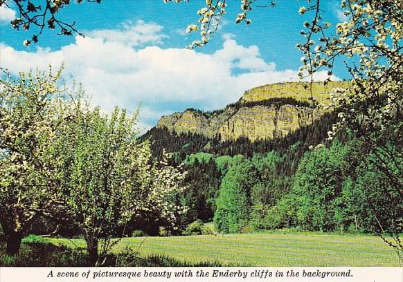 Canada A Scene Of Picturesque Beauty With The Enderby Cliffs In The Backgroun...