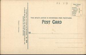 San Francisco CA 1906 Earthquake Place (Palace) Hotel Spelling Error Postcard