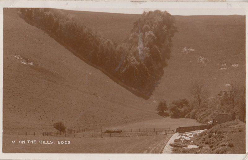 Forest Wood Name Letter V On The Hills Antique Real Photo Postcard