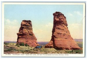 c1940 Elephant Feet Red Lake Rainbow Natural Bridge Rocks Utah Phostint Postcard