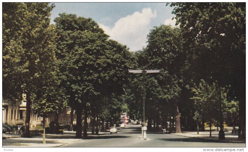 CHELTENHAM (Gloucestershire), England, UK, 1950s ; The Promenade