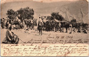 Tunisia Tunis Caravane Vintage Postcard C143