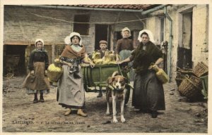 belgium, Laitière Flamande, Flemish Milk Cart, Dogcart, Dairy (1900s) Postcard