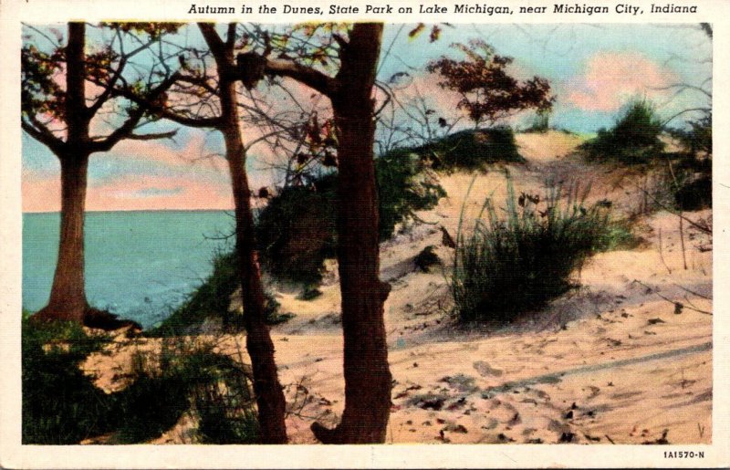 Indiana Michigan City Dunes State Park Autumn In The Dunes Curteich