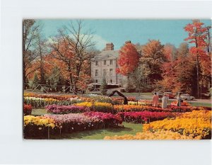Postcard Kingwood Center Mansfield Ohio USA
