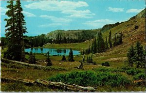 Bellamy Lake Southern Wyoming Rockies Centennial WY Vintage Postcard F65