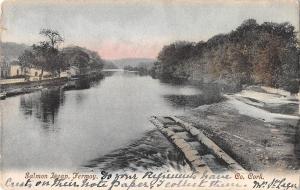 BR81501 salmon leap fermoy cork ireland