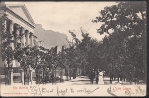 South Africa Postcard - The Avenue, Cape Town     RS1427