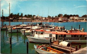 Florida Clearwater The Marina