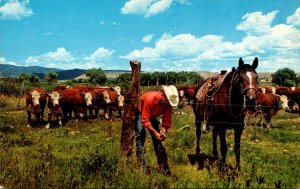 Cowboy Repairing Fence At Whiteface Cattle Graze