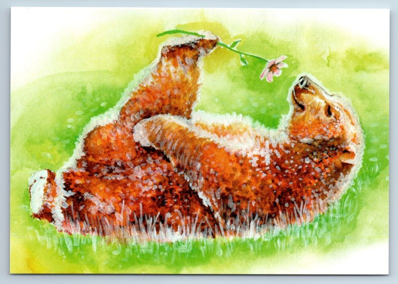 FUNNY BROWN BEAR with Flower on Meadow Comic New Unposted Postcard