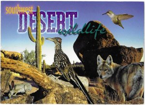 Southwest Desert Wildlife Coyote, Roadrunner, Jack Rabbit, Humming Bird 4 by 6