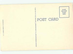 Linen Comic HUMANIZED CHICKENS WEARING CLOTHING AC0105