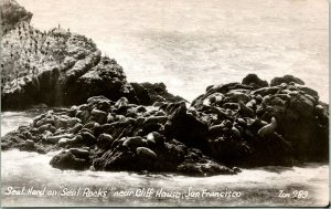 RPPC  Seal Rocks - San Francisco California - Unused UNP Postcard