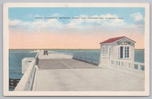 Linen~Davis Causeway Between Tampa & Clearwater Florida~Vintage Postcard