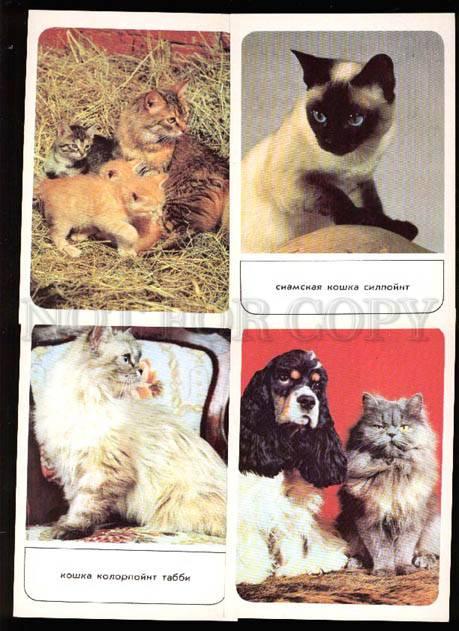 002151 PUSSY CAT Collection of 18 colorful russian postcards