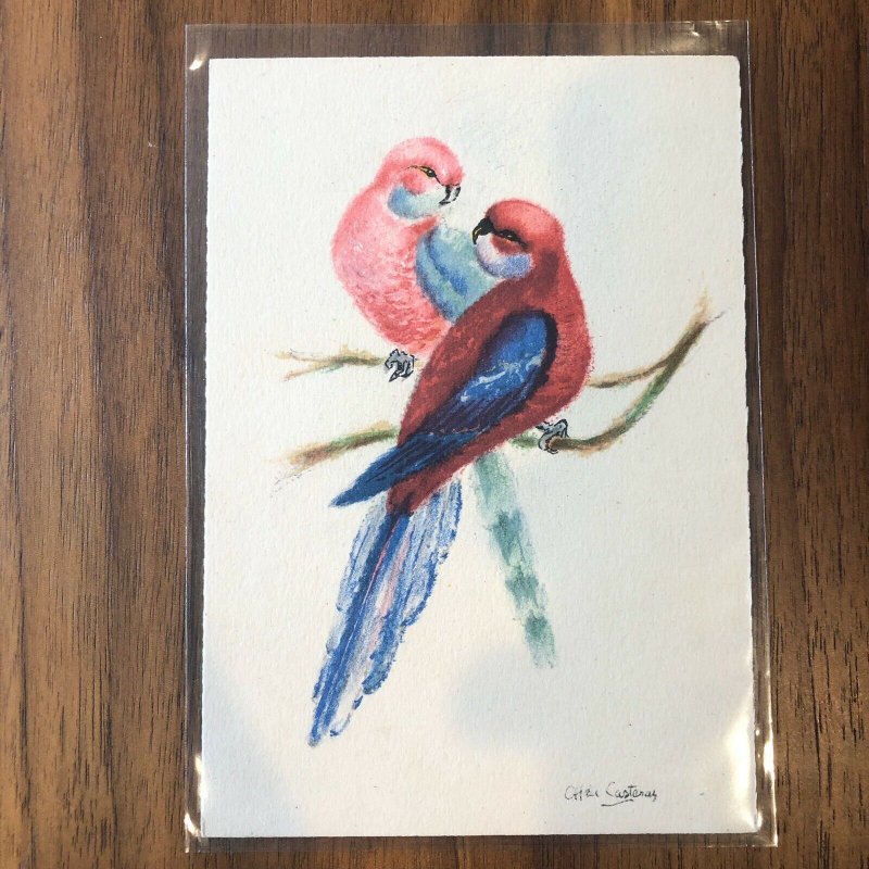 BARRE & DAYEZ Postcard - BIRD - PARROTS - FRANCE - VINTAGE ART  