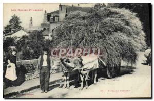 Old Postcard Folklore Basses Pyrenees hitch Bearnais Oxen TOP