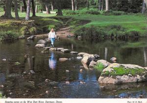 BR82983 stepping stones on the west dart river dartmoor devon    uk
