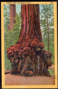 California BIG BASIN Animal Tree Redwood Burl - LINEN