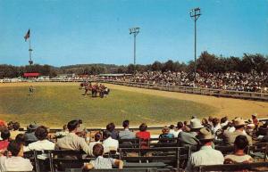 Wheeling West Virginia the horse show Oglebay Park vintage pc Y13771