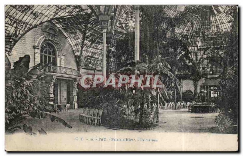 Old Postcard Winter Palace Pau Palmarium