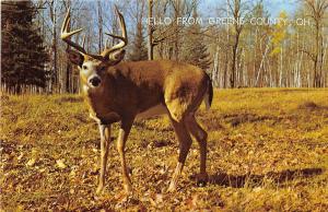 A24/ Green County Ohio 3 Postcards Xenia Horses Deer Greetings from..2