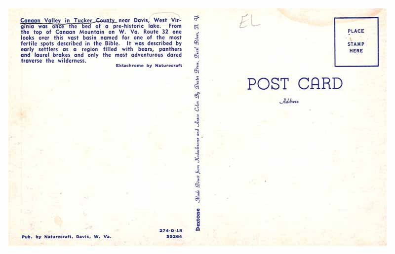 Postcard PANORAMIC SCENE Davis West Virginia WV AU6566