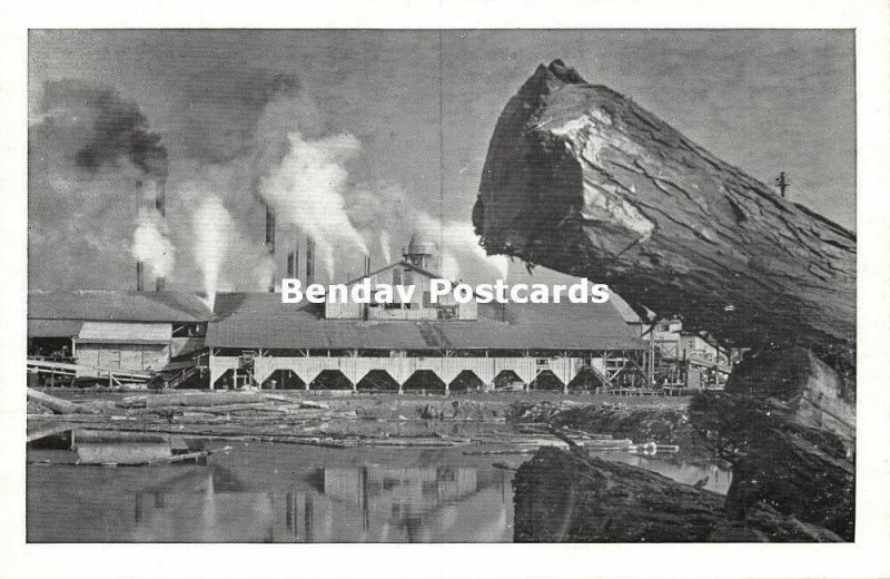 Chapman, Alabama, W.T. Smith Lumber Company Saw Mill (1930s) United States Alabama Other