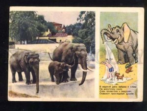 047455 Zoo Funny ELEPHANT as Shower for Boy old Russian PC