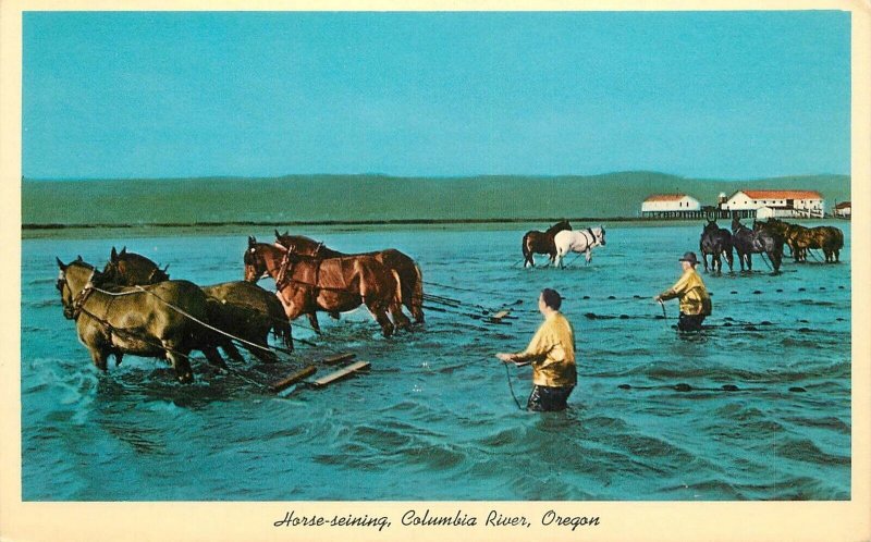 Postcard Oregon Columbia River 1950s Fishing Anderson Teich 23-383