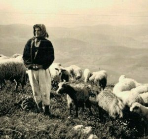 Yugoslavia Farmer with His Sheep Costume Vintage RPPC 07.63