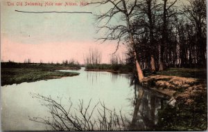 Hand Colored Postcard The Old Swimming Hole near Albion, Michigan