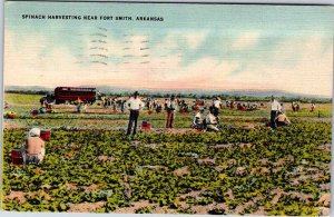 Postcard PEOPLE SCENE Fort Smith Arkansas AR AK4164