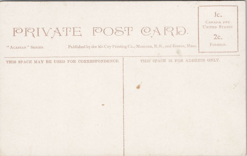 The Falls Five Islands near Parrsboro Nova Scotia NS Unused Postcard G26