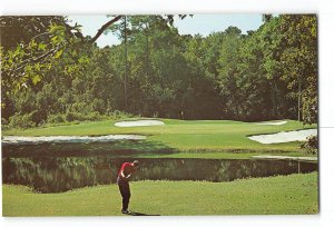 Myrtle Beach South Carolina SC Vintage Postcard Pine Lakes Country Club 7th Hole