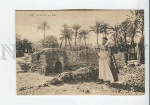 439803 FRENCH NORTH Africa colony Arabian Evening Prayer Vintage postcard