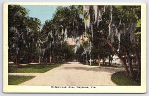 Vintage Postcard Ridgewood Avenue Cross Pathway Lined Trees Daytona Florida FL