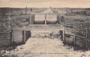 J79/ Fort Morgan Colorado Postcard c1910 Irrigation Scene Farming  454