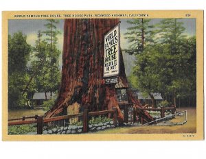 World Famous Tree House Redwood Highway California