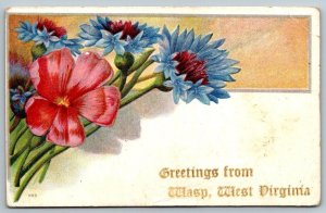 Rare  Wasp  West Virginia  Greetings  Postcard