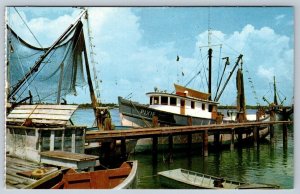 Shrimp Fleet, Fisherman's Wharf, Fort Myers, Florida, Vintage Chrome Postcard